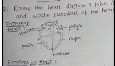 Student personalises heart diagram with girls’ names, reveals dating details on anatomy paper; netizens can’t keep calm | Today News