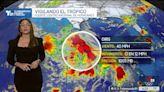 La tormenta tropical Chris toca tierra cerca de Veracruz, México