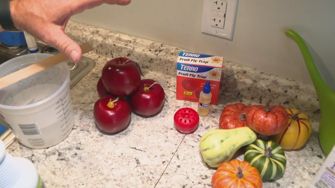 Pat Sullivan's tips for keeping fruit flies away from your kitchen