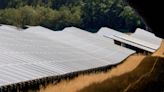 Solar Panel Saturation in Germany Sends Revenues Tumbling