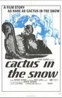 Cactus in the Snow