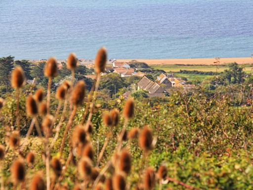 Unspoilt coast where you can find the 'real Broadchurch'