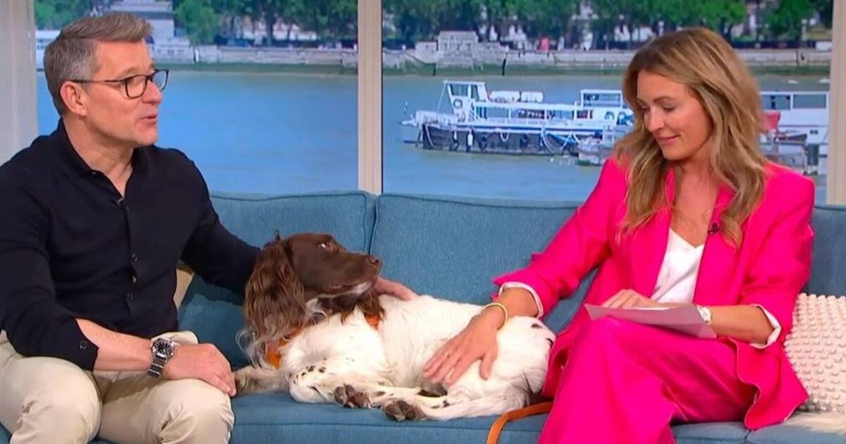 This Morning's Cat Deeley emotional as she asks Ben Shephard to 'carry on'