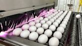 Egg prices high as Easter, Passover approach - The Boston Globe