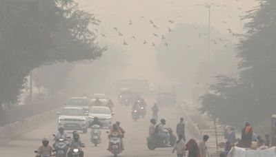 India's top court pulls up authorities over air quality as farmers burn crop residue