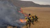 Aparatoso incendio forestal en el Cerro del Viso: el fuego arrasa varias hectáreas y avanza hacia Alcalá de Henares