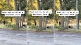 Video of entitled tourist taunting bear and her cubs sparks outrage online: ‘Who in their right mind would think it’s okay’