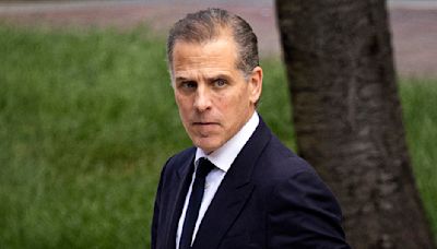 Some lawmakers say Hunter Biden gun charge should be prosecuted more often