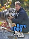 Hero Dog: The Journey Home