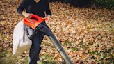 Make Quick Work of Fall Cleanup With These Expert-Recommended Leaf Vacuums