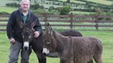 Outrage as Donkey Sanctuary owners threatened during attempted robbery - Donegal Daily