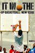 Doin' It in the Park: Pick-Up Basketball, NYC