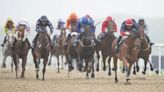 Northumberland Plate horse numbers and Templegate's runner-by-runner guide