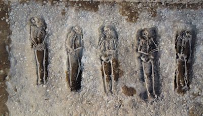 Recuperan los restos de 15 soldados de la Guerra Civil en la fosa del cementerio de Bellaguarda, Lleida