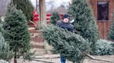 Shopping for a Christmas tree? Check out these 8 tree farms around Indianapolis