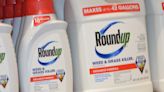 A Stroll Through the Garden: Questions about the use of Roundup still remain