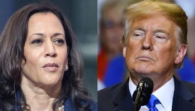 Trump Says 'Kamala Doesn't Have A Clue. Biden Is Sound Asleep' As Stock Markets Crash Globally: 'I Told You So!!!'