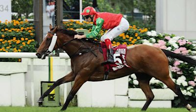 Invincible Sage Strikes For Elite-Level Breakthrough In Chairman's Sprint Prize