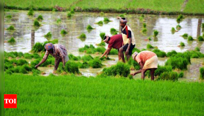 In 15 years, over 25% of farmers’ suicides in India are from Andhra Pradesh & Telangana | Visakhapatnam News - Times of India