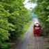 Western Maryland Scenic Railroad