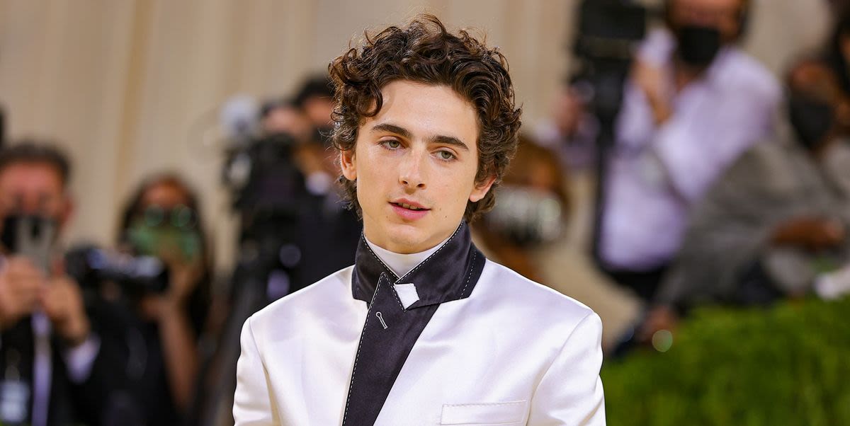 Why Timothée Chalamet Skipped the 2024 Met Gala