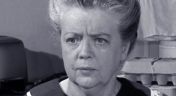 27. Aunt Bee's Invisible Beau