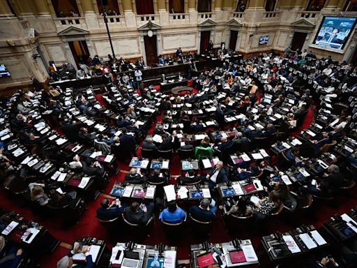 La Cámara de Diputados argentina ratifica la ley de desguace del Estado impulsada por Milei