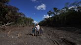 Worries abound that Mexico’s Maya Train will destroy jungle