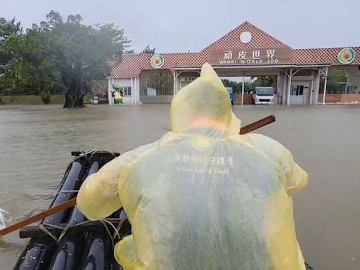 台南頑皮世界成汪洋島國！保育員搭竹筏涉水入園照顧動物