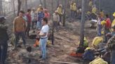 Incendios han arrasado 30 mil hectáreas en Los Chimalapas, Oaxaca: Comisión Estatal Forestal | El Universal