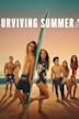 Surviving Summer (TV series)