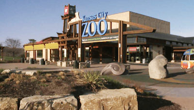Spongebob Squarepants comes to Kansas City Zoo & Aquarium