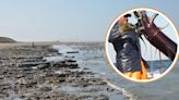 Pescadores de calamar gigante anuncian paro contra barcos chinos en aguas peruanas