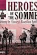 Heroes of the Somme