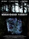 Breakdown Forest