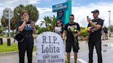 Miami Seaquarium’s problems didn’t end with Lolita’s death. Its value is under question | Opinion