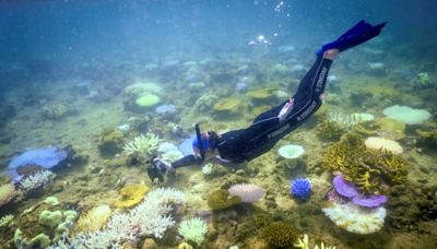 'Urgent' for Australia to protect Great Barrier Reef: UNESCO