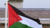 Palestinian flag taken down from Leinster House - Homepage - Western People
