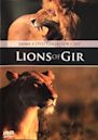 The Lions of Gir