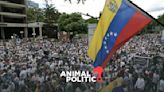 Presión internacional crece tras denuncias de fraude en elecciones de Venezuela