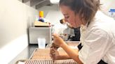 I spent the day working in a 2-star Michelin restaurant where dinner costs $300. I sliced sashimi, made dessert, and was shocked by the kitchen's calm vibe.