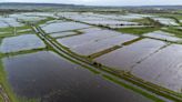 This catastrophic flooding reminds us there is nothing natural about rewilding