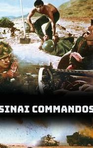 Sinai Commandos