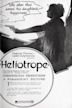 Heliotrope (film)