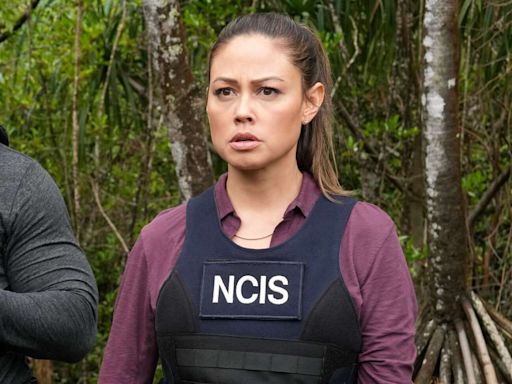 Vanessa Lachey Reacts to 'NCIS: Hawai'i' Cancellation as Fans Express Outrage Over Decision: 'Gutted'