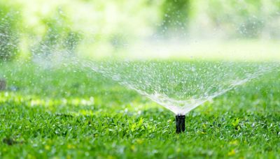 Experts Agree: This Is the Best Time of Day to Water Your Lawn