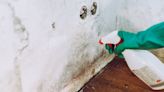 How to get rid of (and prevent) mould in your home – because yes, it can cause serious health issues