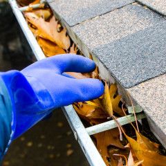 Gutter & Downspout Cleaning