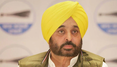 Punjab: CM Bhagwant Mann Announces AAP Will Contest All 90 Haryana Assembly Seats Alone