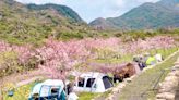 東高雄新春遊花海吸睛！山城花語蝶飛揚 溫泉美食幸福遊